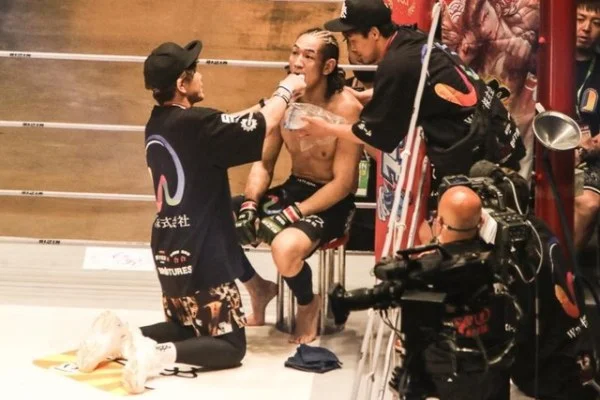 CBA新赛季辽宁本钢赵继伟核心与杨鸣战术体系攻防走势研判